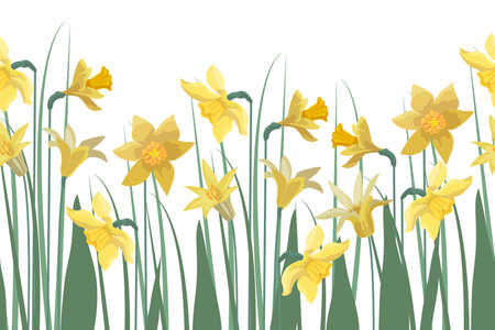 Vector floral seamless pattern, border. Horizontal panoramic background, yellow flowers.のイラスト素材