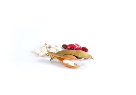 White and red beans close-up. Dry bean pods on a white background.