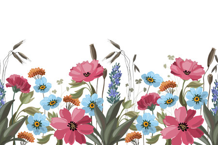 Floral seamless horizontal pattern, border with meadow flowers. Vector flowers, leaves, herbs, cereals on a white background.のイラスト素材