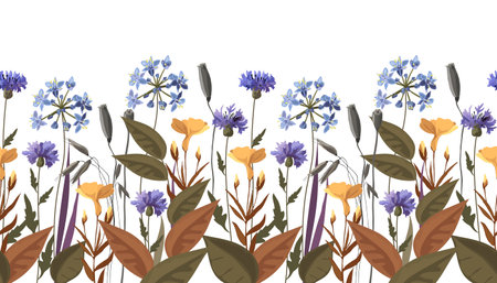 Floral seamless horizontal pattern, border with meadow flowers. Vector flowers, leaves, herbs on a white background.のイラスト素材