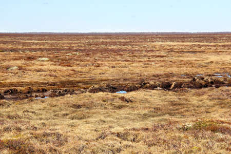 Russian arctic tundra in springの写真素材