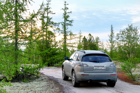 Novyy Urengoy, Russia - June 26, 2017: Motor car Infiniti FX35 in the forest at the background of the sunset.のeditorial素材