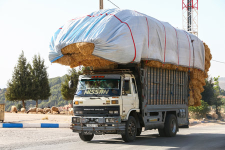 Azrou, Morocco - September 27, 2019: Overloaded agricultural truck Nissan Diesel Condor at the...