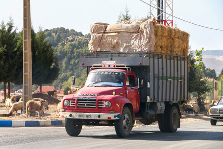 Azrou, Morocco - September 27, 2019: Old agricultural truck Bedford TJ at the interurban road.のeditorial素材