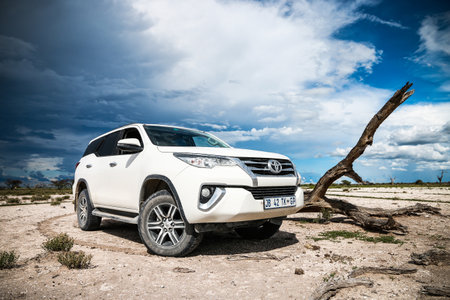 Etosha National Park, Namibia - February 7, 2020: White offroad car Toyota Fortuner in a savanna.のeditorial素材