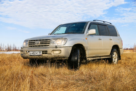 Novyy Urengoy, Russia - April 29, 2020: Offroad car Toyota Land Cruiser 100 in a dry grassland.