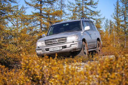 Novyy Urengoy, Russia - June 4, 2020: Offroad car Toyota Land Cruiser 100 at the countryside.