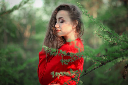 Young woman in a summer forestの写真素材