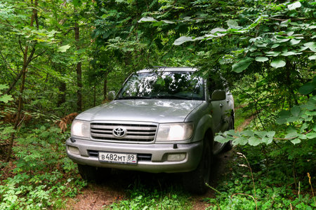Asha, Russia - August 8, 2020: Old Japanese offroad car Toyota Land Cruiser 100 in the forest.