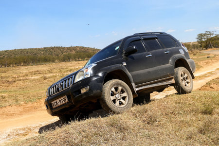 Lake Nakuru National Park, Kenya - February 1, 2021: Black 4x4 car Toyota Land Cruiser Prado 120 in...