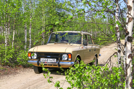 Novyy Urengoy, Russia - June 11, 2022: Soviet classic car Izh-Moskvich-412 in a birch wood.のeditorial素材