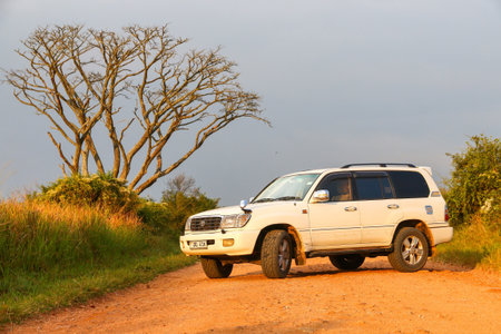 Queen Elizabeth National Park, Uganda - January 29, 2023: Offroad car Toyota Land Cruiser 100 on a gravel road.のeditorial素材