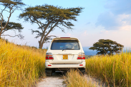 Queen Elizabeth National Park, Uganda - January 28, 2023: White offroad car Toyota Land Cruiser 100 in an African savanna.のeditorial素材