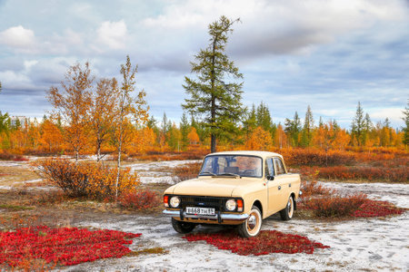 Novyy Urengoy, Russia - September 11, 2022: Soviet retro car Izh-Moskvich-412IE-028 at the autumn tundra.のeditorial素材