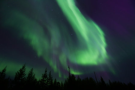 Northern lights (Aurora borealis) in the night skyの写真素材