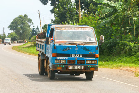 Central Region, Uganda - January 30, 2023: Compact agricultural dump truck Isuzu Elf 250 at an interurban road.のeditorial素材