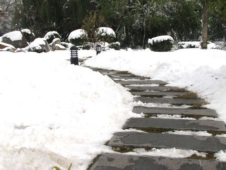 å¹½éçéªåå¬å­ç³æ¿è·¯の写真素材