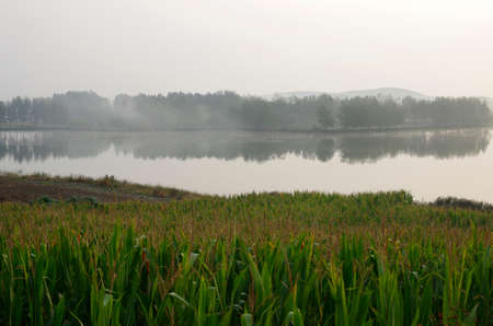 Idyllic scenery in autumn morningの写真素材