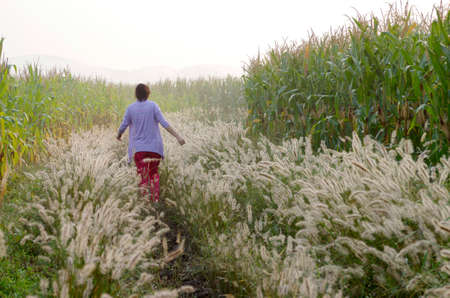 woman in the field の写真素材