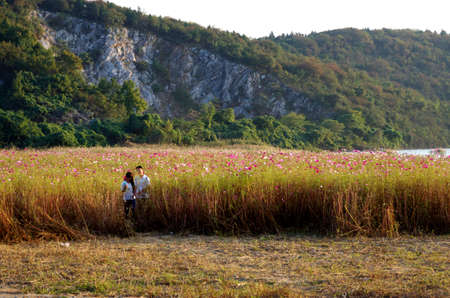 Valley Gesangのeditorial素材