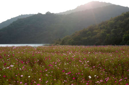 Gesang Valleyの写真素材