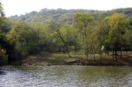 Lake treesの写真素材