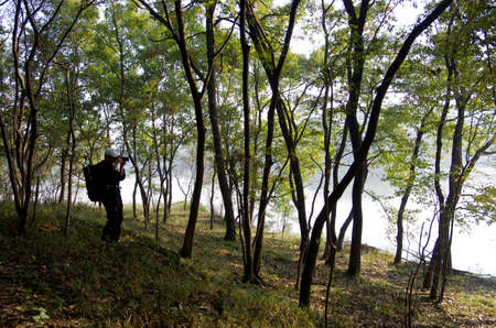 photographer shooting in the jungleの写真素材