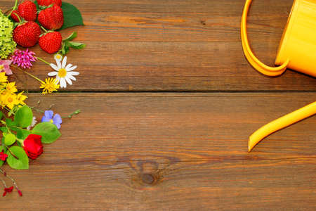 Water Can, Flowers and Strawberry on Wood Board  Abstract Summer  