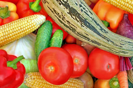 Assortment of fresh vegetables close up. Harvest backgroundの写真素材