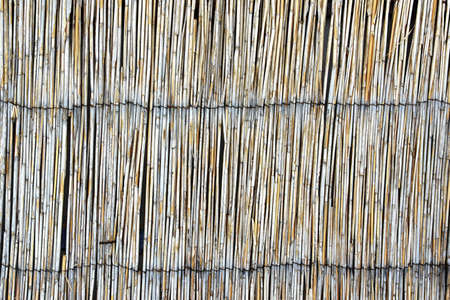 Bamboo Fence Backgroundの写真素材