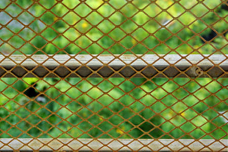 Wire Mesh Close-up. Background and Texture for text or imageの写真素材