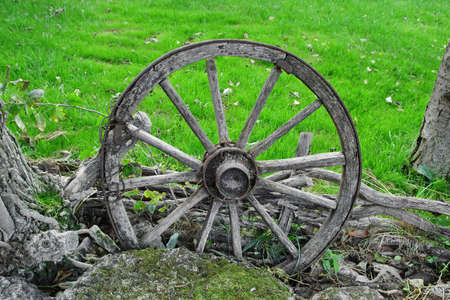 Decorative Garden. Old Cartwheel and Wood hedge Closeup.の写真素材