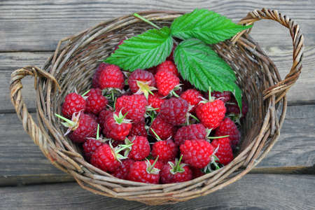 Many Ripe Raspberries With Leafs In Vintage Wicker Basket On The Rough Rustic Wood Table Background