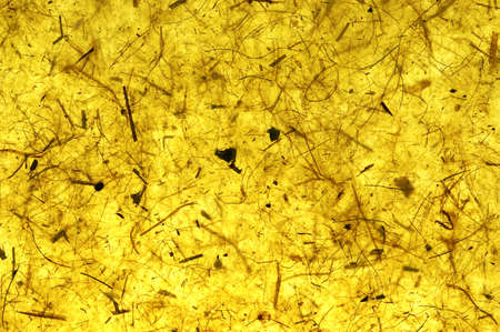 Yellow Orange Gold Amber Citrine Color Mulberry Handmade Paper Background Or Texture Close-up