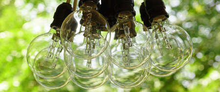 Big Light Bulb Bundle Hanging In A Garden Before Night Party