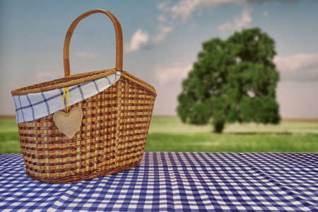 Picnic Basket Closeup On The Blue Checkered Tablecloth And Summer Toned Landscape With Alone Tree In The Field In The Backgroundの写真素材