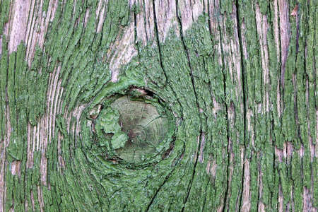 Old Weathered Painted Green Wood Background Texture. Vintage Timber Background. Peeled Green Paint On Old Wood Board.の写真素材