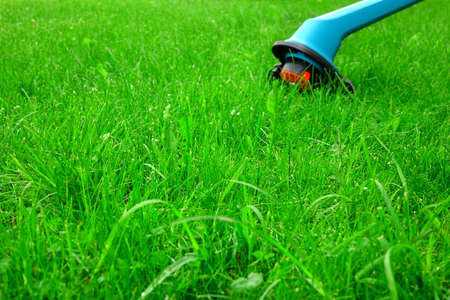 Summer Backyard Green Lawn Closeup And  New Corded Grass Trimmer In The Background