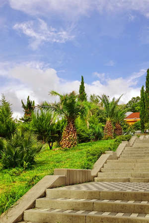 Concrete Tiled Upward Staircase In Ornamental Tropical Garden. Summer Landscape, Cloudy Weather. Vertical Image. No People. Modern Landscape Design. Yellow Villa In The Background.の写真素材
