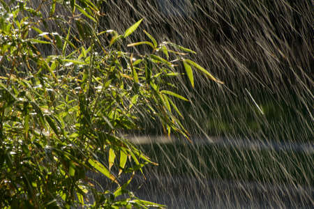 Rainy dayの写真素材