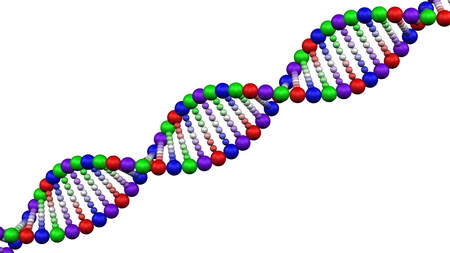 ?olor DNA molecule, isolated on white background. 3D rendering.の写真素材
