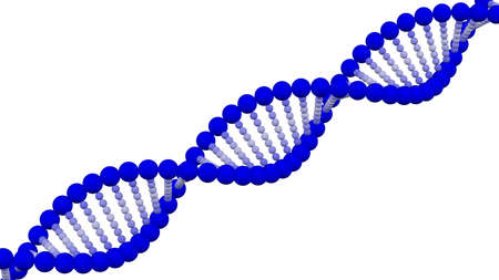 Blue and white DNA molecule, isolated on white background. 3D rendering.の写真素材