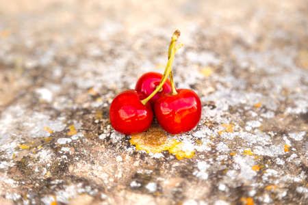 Three cherriesの写真素材