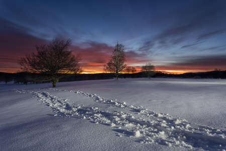 Snowed landscape in a cold winter sunrise
