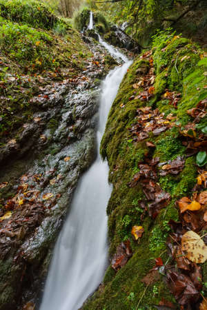 Waterfall rounded by green and orange colors