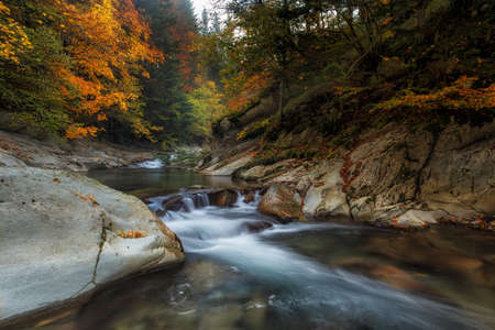 River in the Irati forest in autumnの写真素材