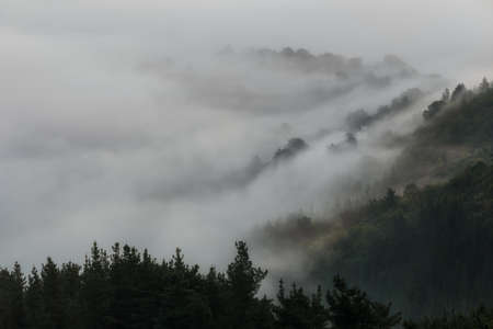 Fog over beech forest in Aramaio, Alavaの写真素材