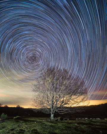 Circumpolar, star trails, over a beech in Entzia, Alavaの写真素材