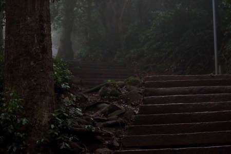 Nature scenaryの写真素材