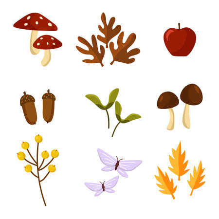 Vector illustration of autumn elementsのイラスト素材